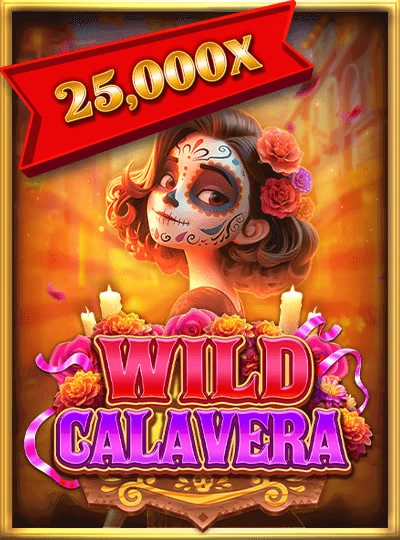 llwi